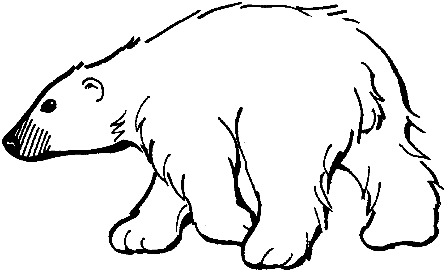 Free Bear Coloring Pages